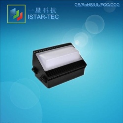 40w  LED wall light